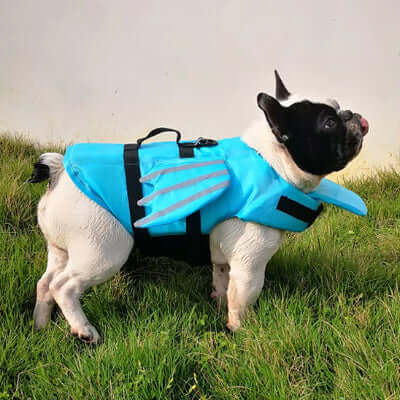 Gilet-de-sauvetage-chien-bleu-bateau