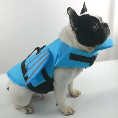 Gilet-de-sauvetage-chien-bleu-pratique