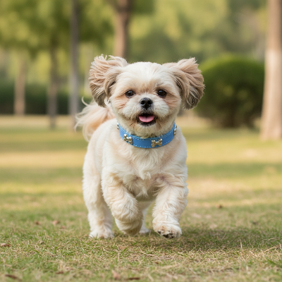collier-pour-chien-bleu-os