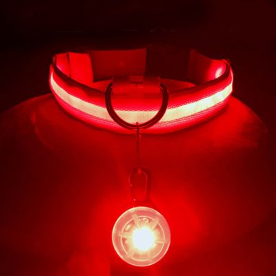 collier-pour-chien-pendentif-orange