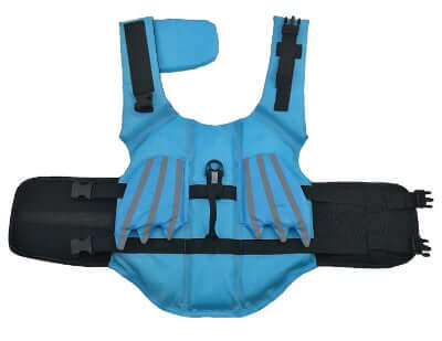 Gilet de Sauvetage pour Chien - Dragon Bleu