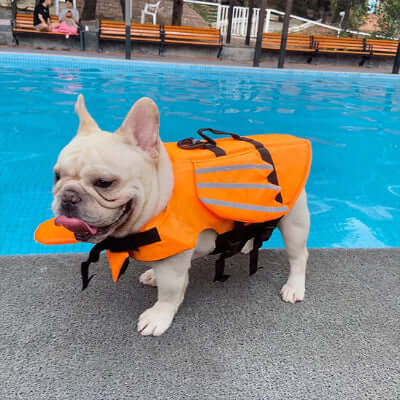 gilet-de-sauvetage-bateau