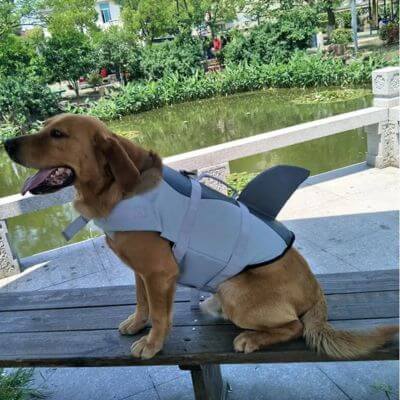 Gilet de Sauvetage pour chien - requin