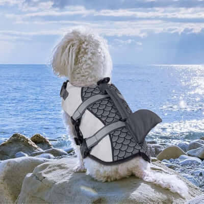 gilet-de-sauvetage-chien-requin-gris