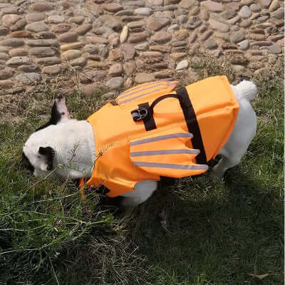 gilet-de-sauvetage-dragon-sécuritaire