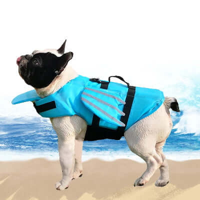 Gilet de Sauvetage pour Chien - Dragon Bleu