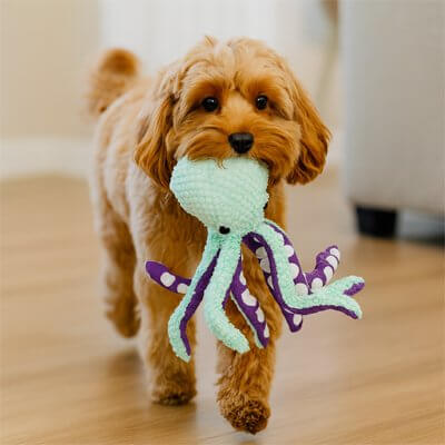 peluche-chien-en-forme-de-pieuvre