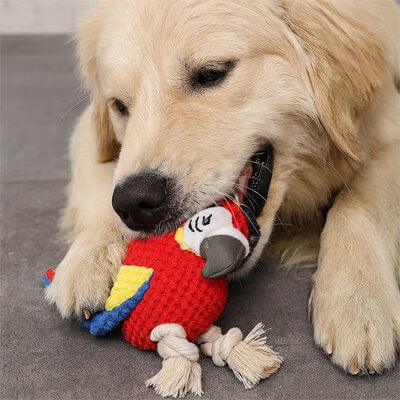 peluche-chien-perroquet-aux-couleurs-vives