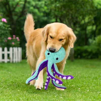 peluche-chien-pieuvre-pour-jeu-deveil