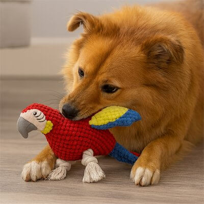 peluche-chien-rigolote-en-perroquet