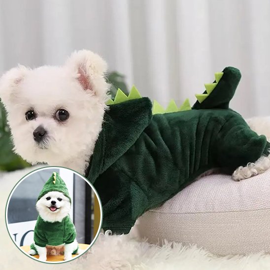 Déguisement pour Chien Halloween | Dinosaure