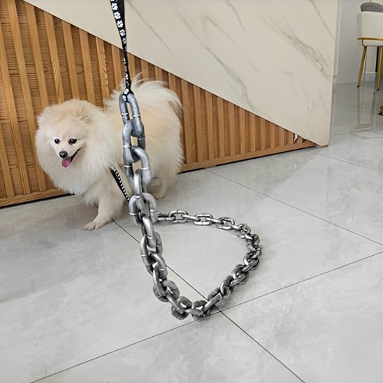 Laisse chien | Chaîne