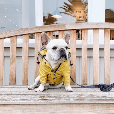 Manteau pour chien | Matelot Premium