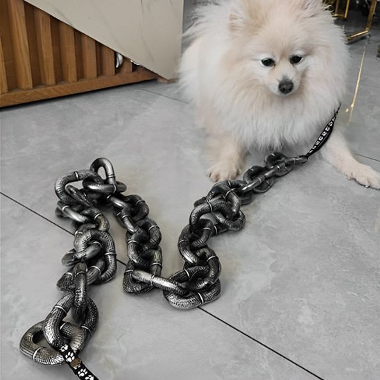 Laisse chien | Chaîne