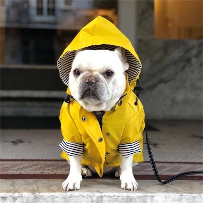 Manteau pour chien | Matelot Premium