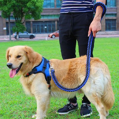 Laisse pour chien robuste | PetControl
