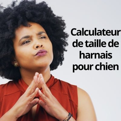 Calculateur de taille de harnais pour chien - Le monde de Philo