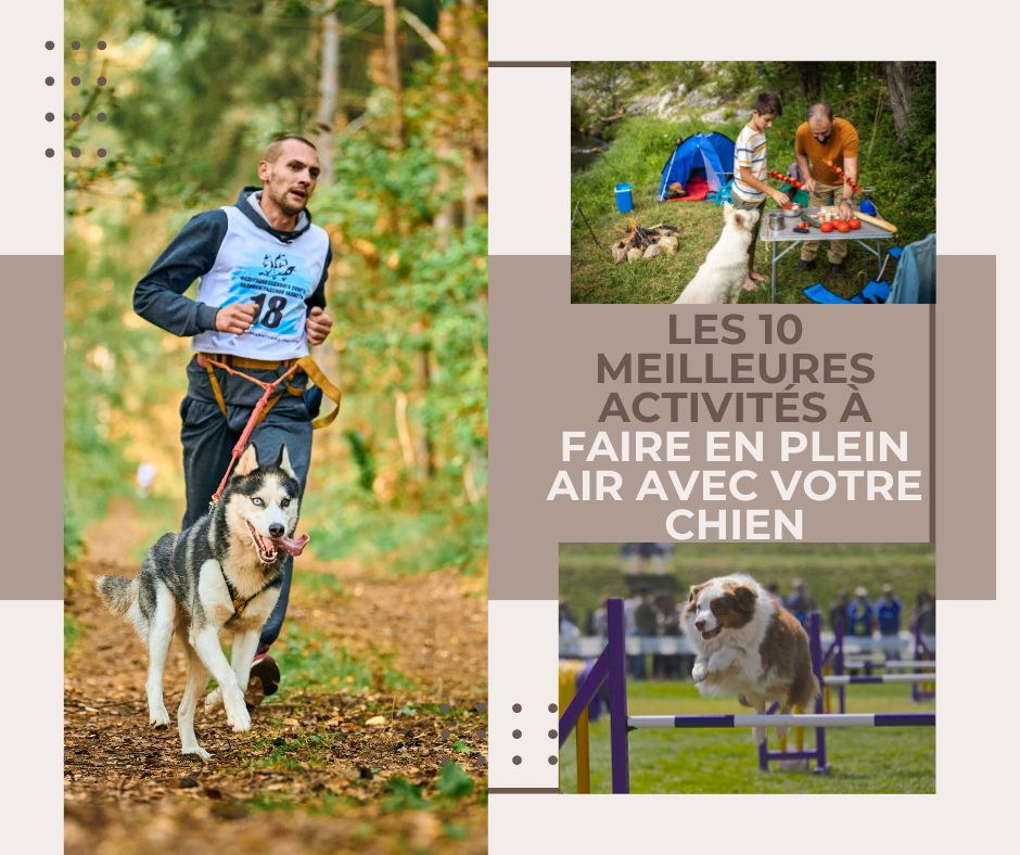 Les 10 meilleures activités à faire en plein air avec votre chien - Le monde de Philo