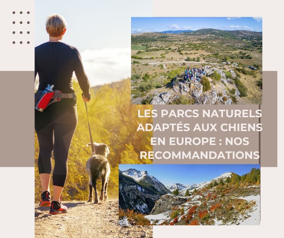 Les parcs naturels adaptés aux chiens en Europe : nos recommandations - Le monde de Philo