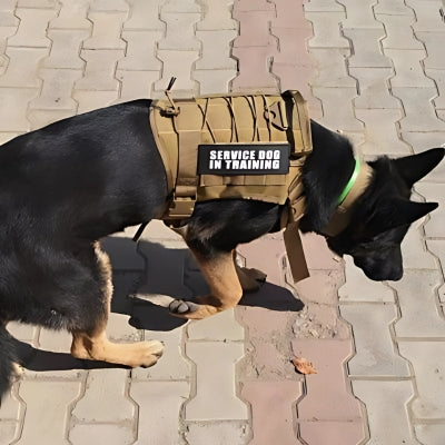 Harnais Chien Anti Traction Chien - K9 Brun