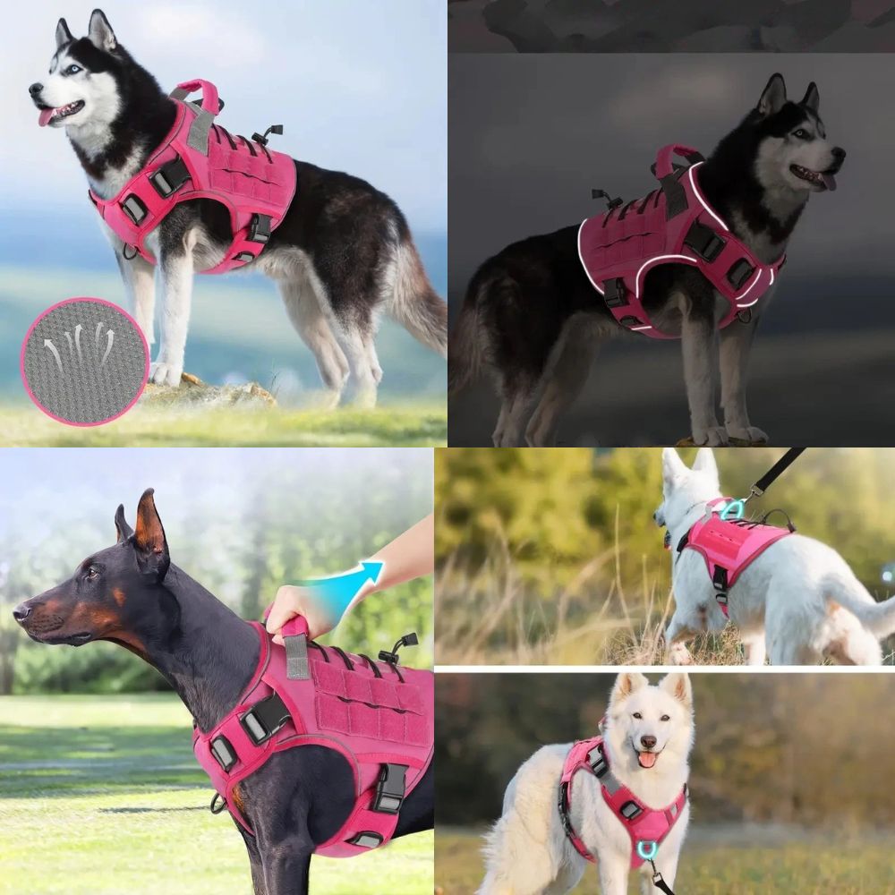 Harnais chien | Tactique