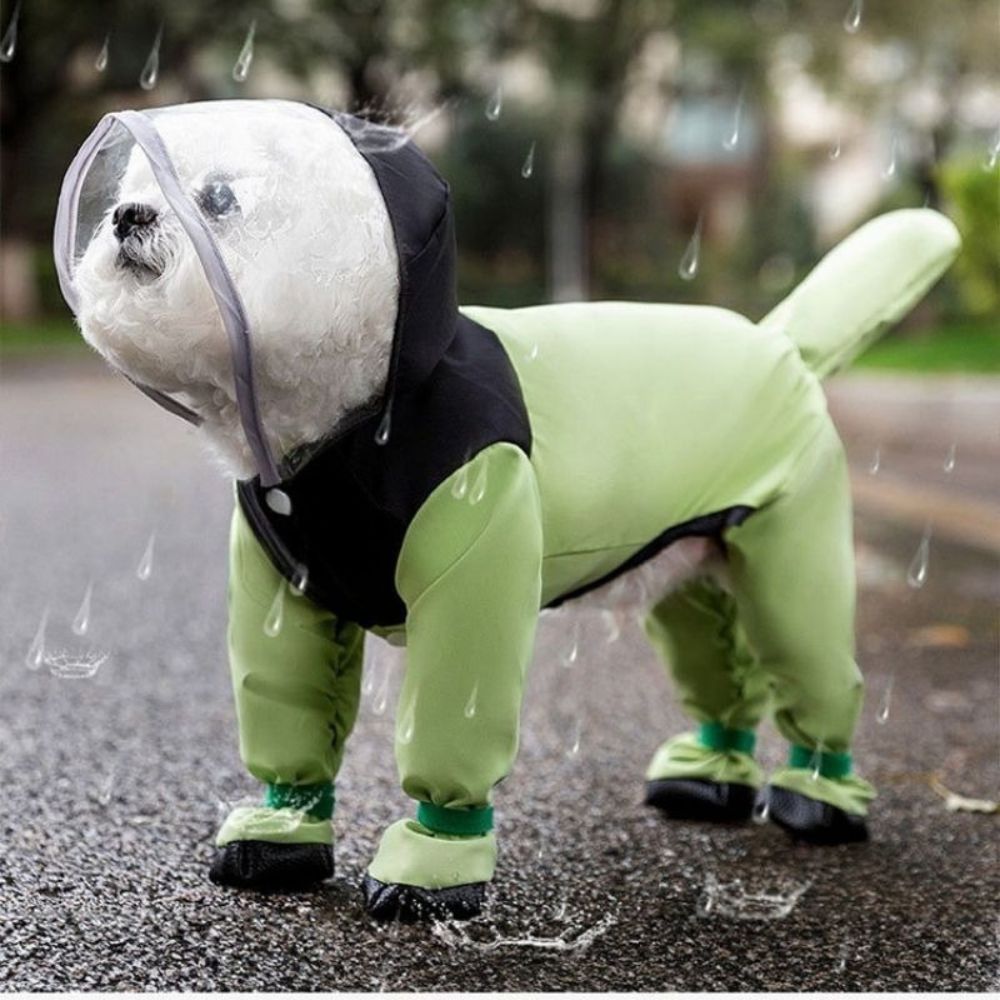Manteau imperméable pour chien – Protection complète avec bottes et harnais intégrées