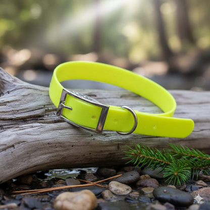 Collier chien Robuste - Terra-Flex