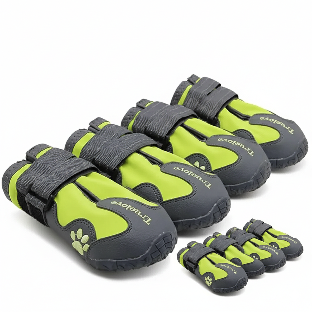 Chaussures chien | TerraProtect