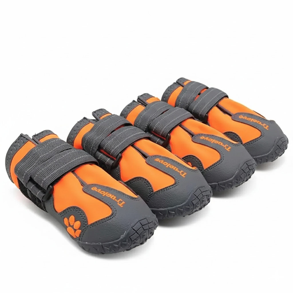 Chaussures chien | TerraProtect