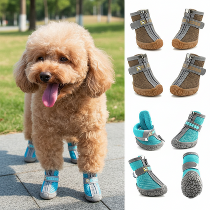 Chaussure Chien | Soft