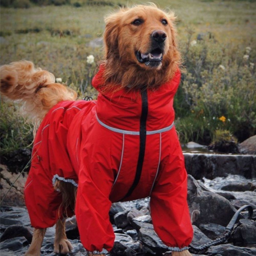 Manteau Imperméable pour Chien – Toundra - Protection Totale Contre la Pluie, le Vent et la Neige