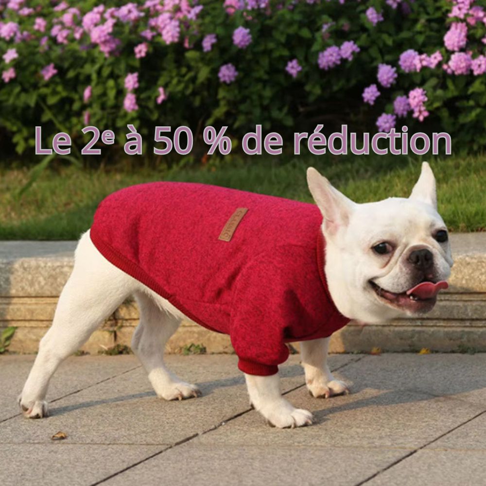 Pull pour Chien Izzy™ : Élégance et Confort