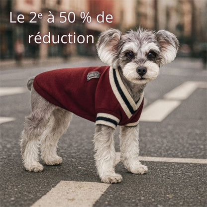 Pull pour Chien | Écolier