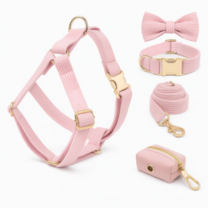 Ensemble d’accessoires pour chien – Élégance et confort au quotidien