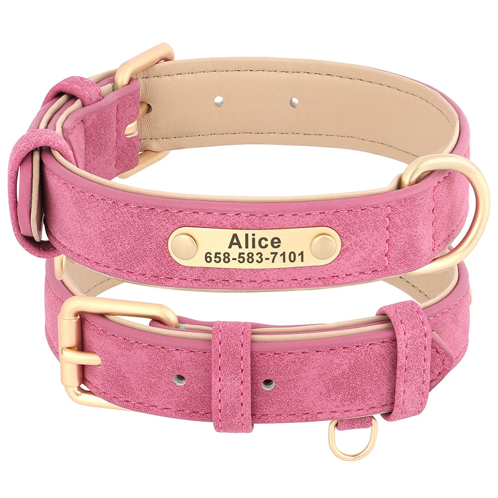 Collier Pour chien Personnalisé - Sweet