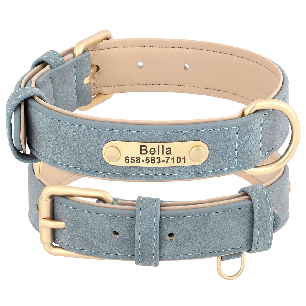 Collier Pour chien Personnalisé - Sweet