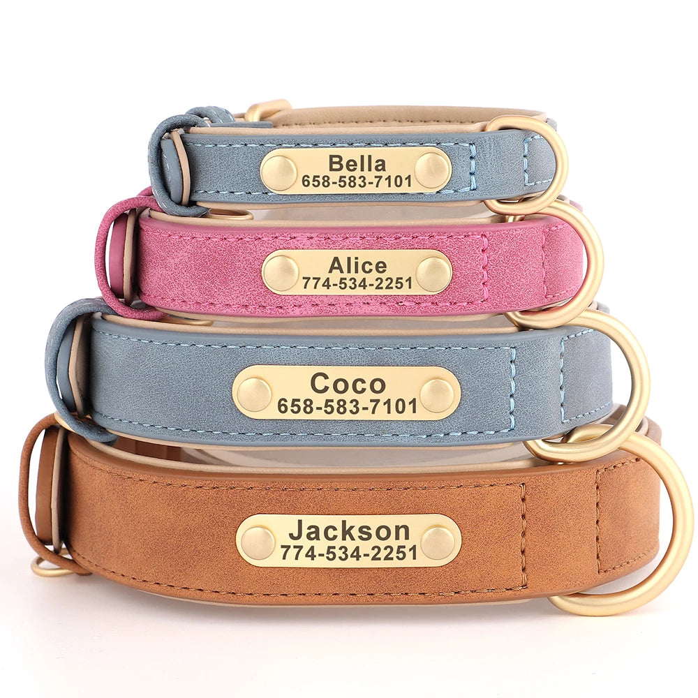 Collier Pour chien Personnalisé - Sweet