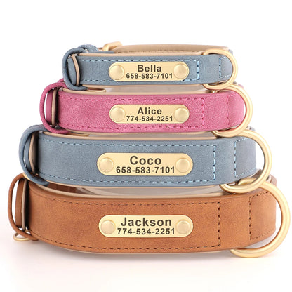Collier Pour chien Personnalisé - Sweet
