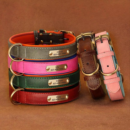 Collier Pour chien Personnalisé - Sweet