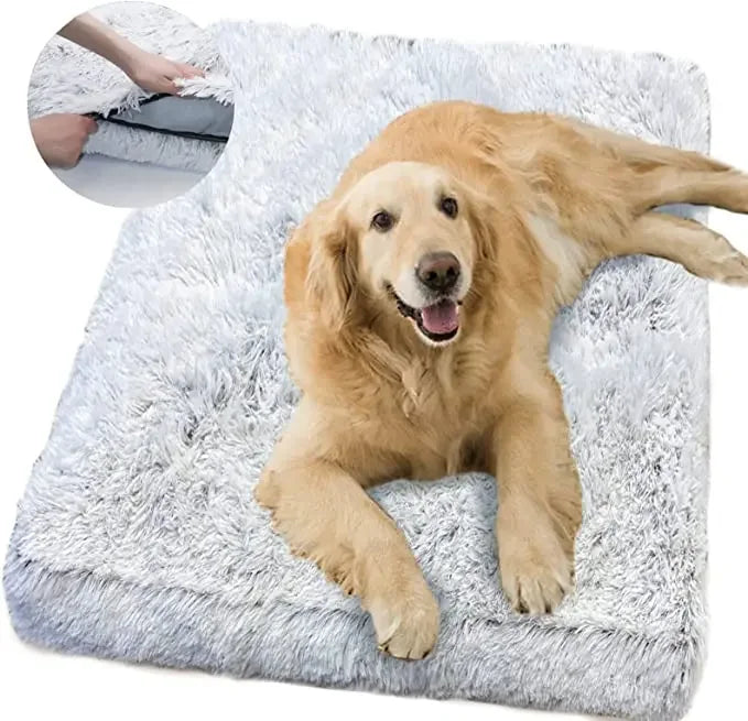 Le Tapis Chien SweetDream™: Confort, Durabilité et Éco-Responsabilité