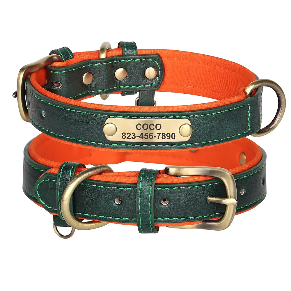Collier Pour chien Personnalisé - Sweet