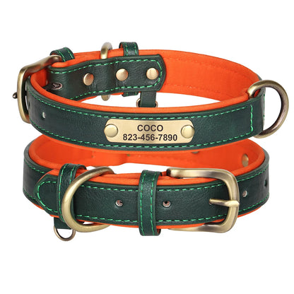 Collier Pour chien Personnalisé - Sweet