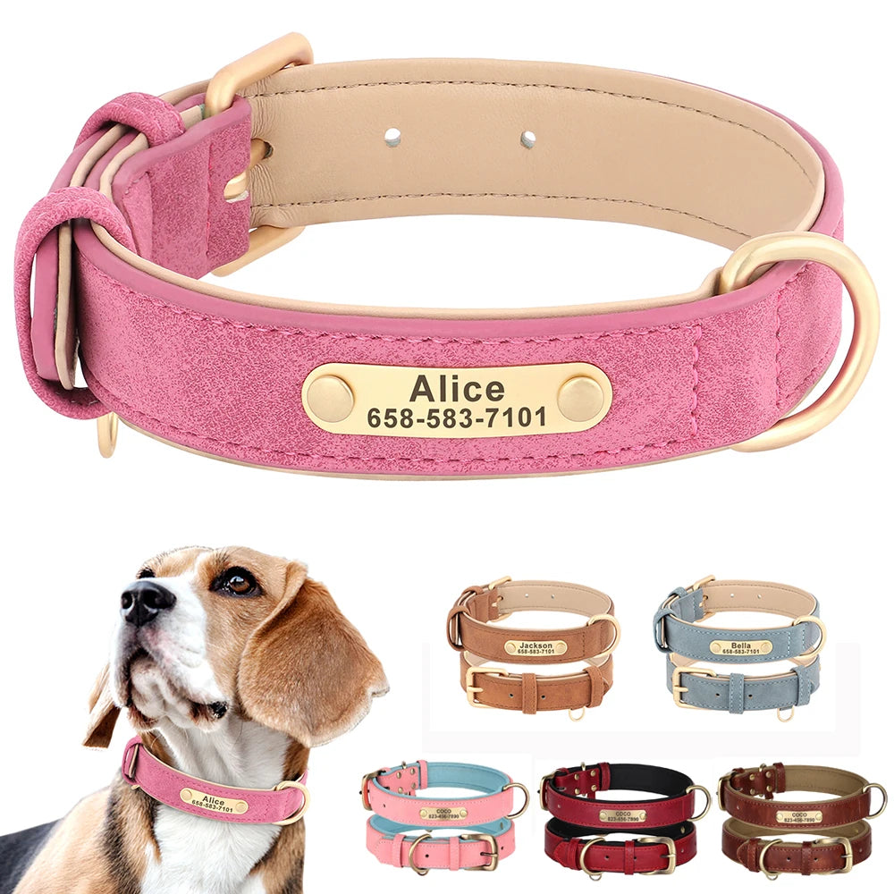 Collier Pour chien Personnalisé - Sweet