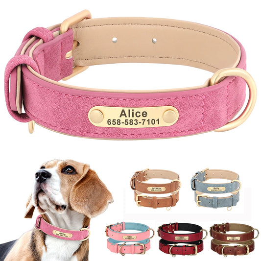 Collier Pour chien Personnalisé - Sweet