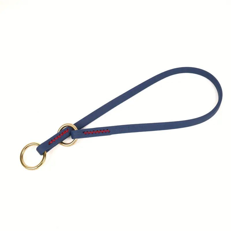 Collier étrangleur pour chien - Safe