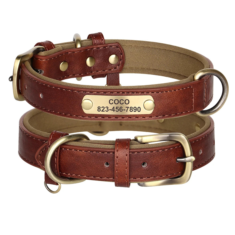 Collier Pour chien Personnalisé - Sweet
