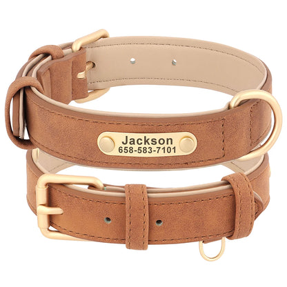 Collier Pour chien Personnalisé - Sweet