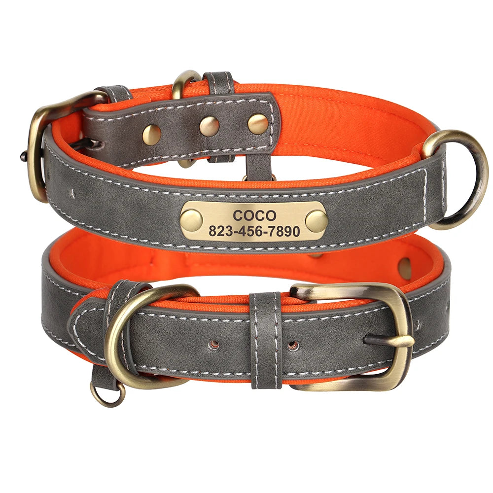 Collier Pour chien Personnalisé - Sweet