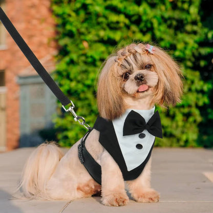 Harnais pour chien cérémonie – Le tuxedo qui fait sensation