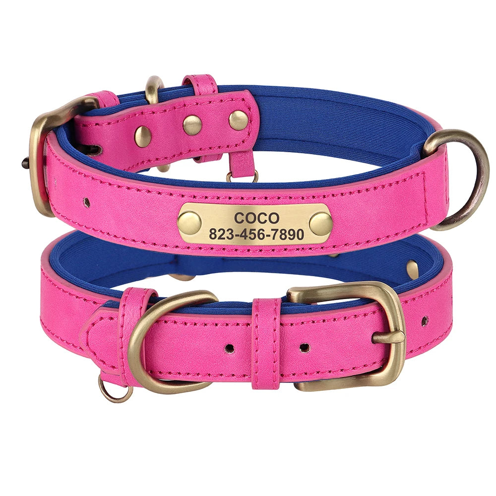 Collier Pour chien Personnalisé - Sweet